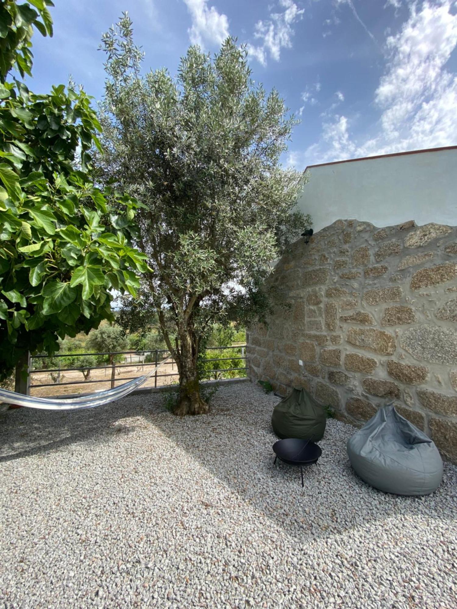 Casa De Pedra Em Vinha No Dao Villa Nelas Exterior photo